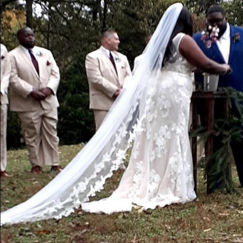 David’s Bridal Cathedral Length Corded Lace Veil